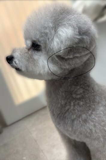 65507D7D-5947-4E8C-A02D-C175F0EDB34A