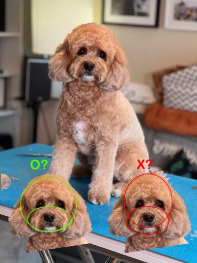 494357911_1435591460803779_3341330928489926793_n