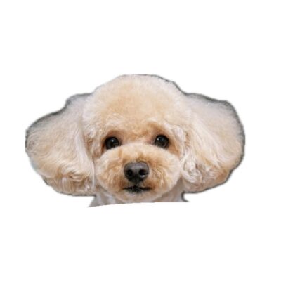 E8073CE7-077F-4FC4-987F-09AEE09A0396