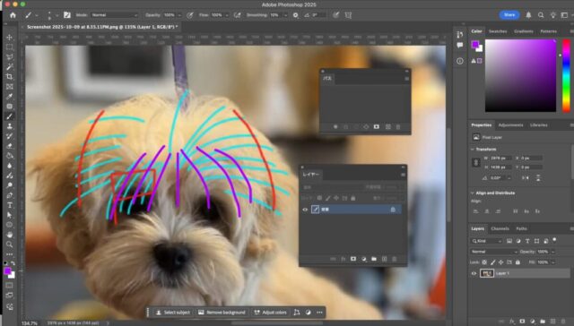 Screenshot 2025-10-09 at 8.57.21 PM