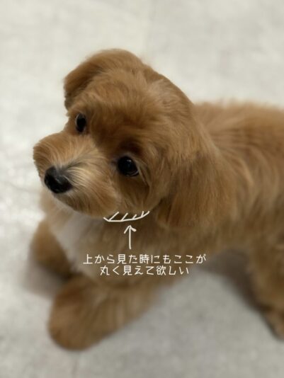 BAC097DF-139D-463B-B2A6-E4EA0C430177