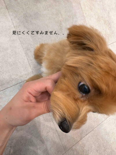 F0FF267B-A6E9-43C5-B58A-A4E8650C1BB0