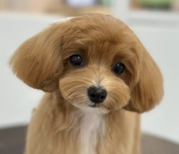 02A64370-92FF-4B60-A14F-6569C2098D76