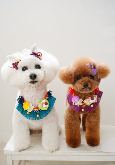 DSC03171 のコピー