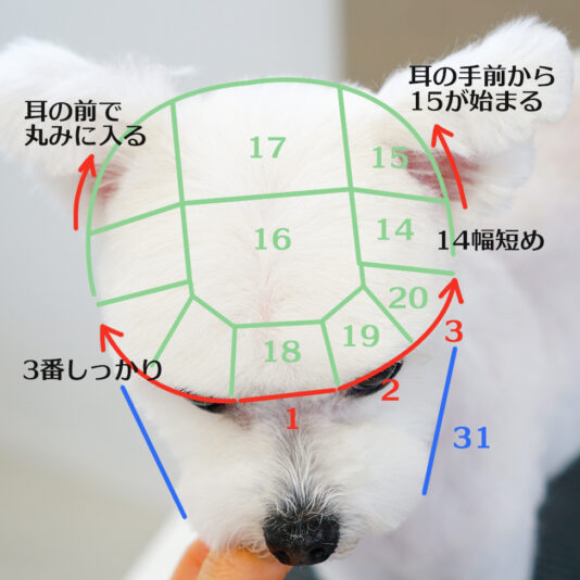 DSC02125 のコピー