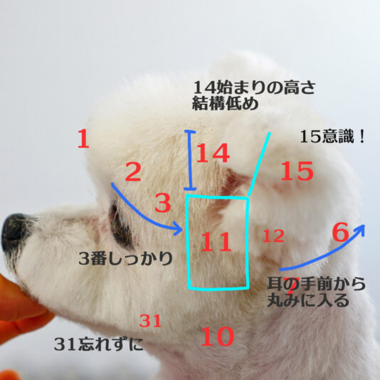 DSC02124 のコピー