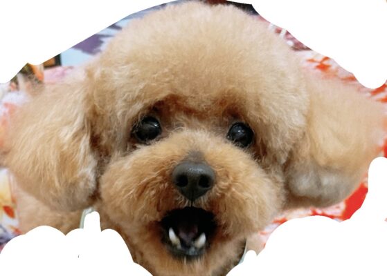 FB927096-1E9A-4519-AC68-721D7D4DF64A