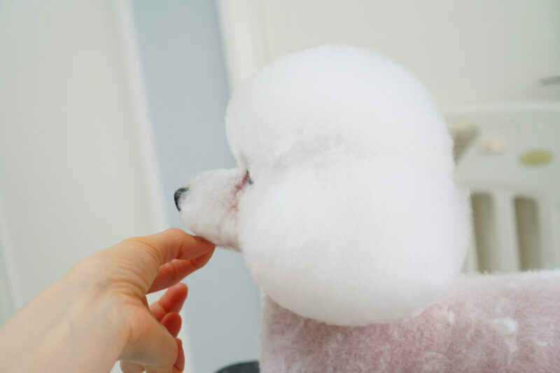 DSC06035-2 のコピー