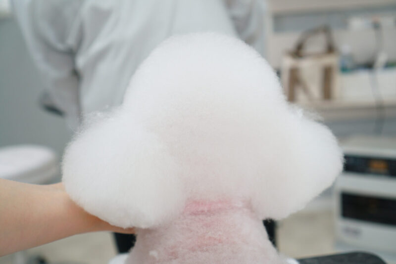 DSC06037-2 のコピー