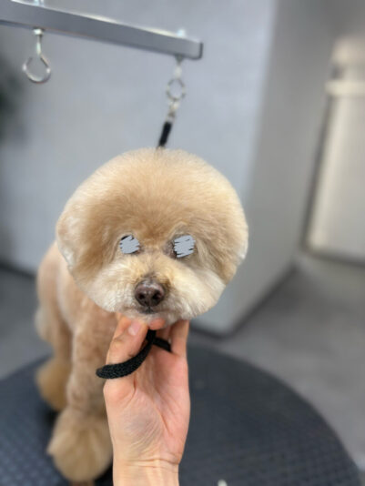 D31C5305-5BE3-40AA-88A1-4EF31CAB33D3