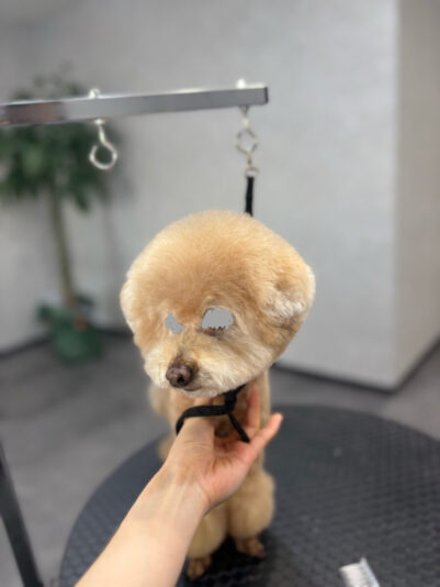 1056B7C7-C37C-456A-B7DC-C417267B73CC