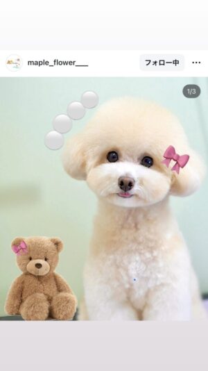 7C330CEA-7774-4DB9-BB6D-7ACCF1C7E3A0