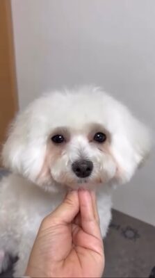 e1772cc3867c4d768776b98a57595ca3