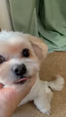 c49c890fa8e848b397887c90edd62bd5