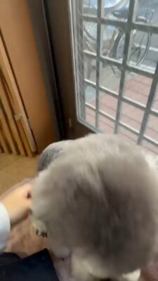 2310e2685e2648c7ae896c3a17a0ab60