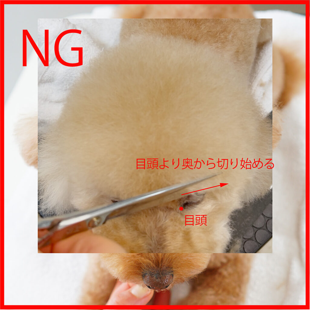 NG目頭より奥から切る