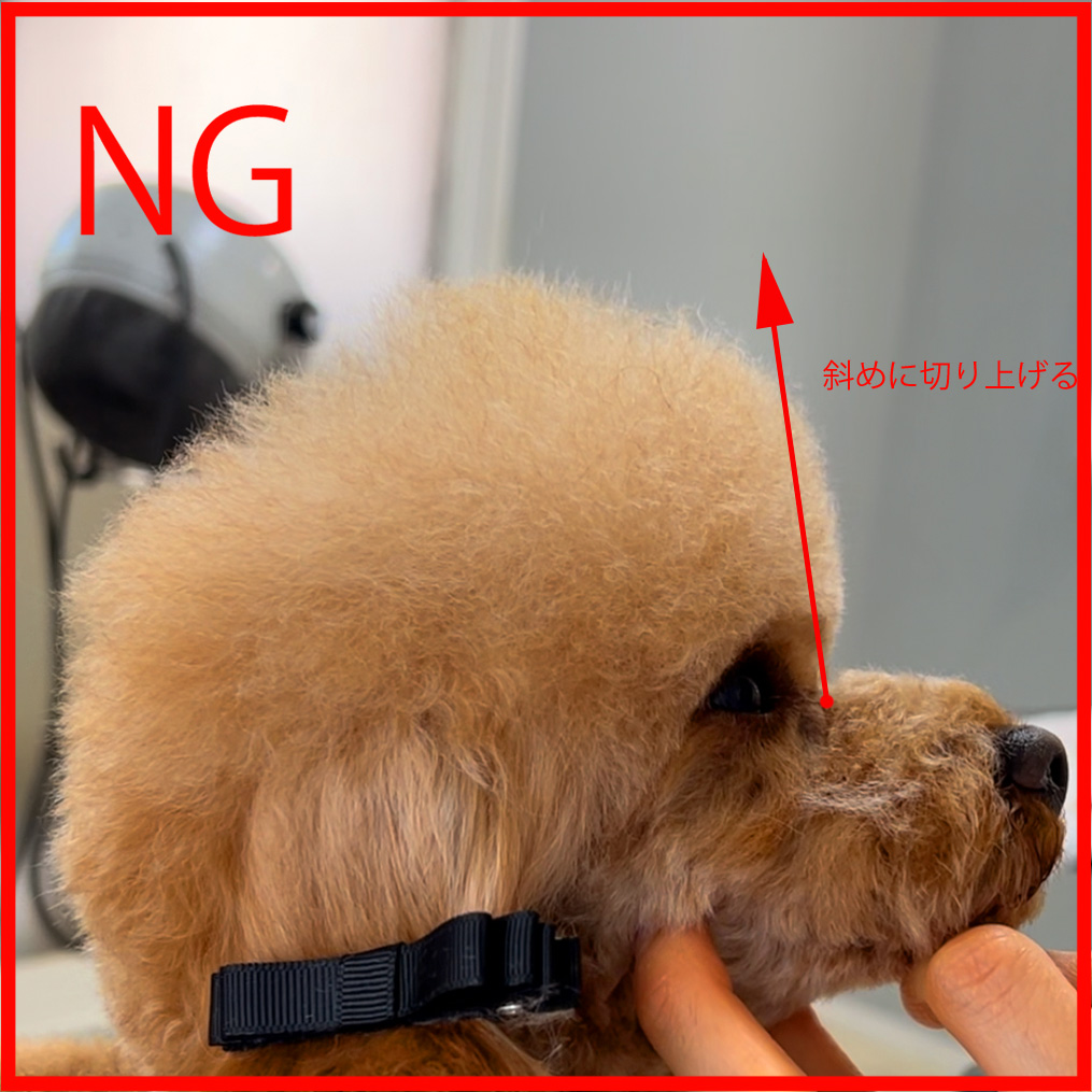 NG斜め