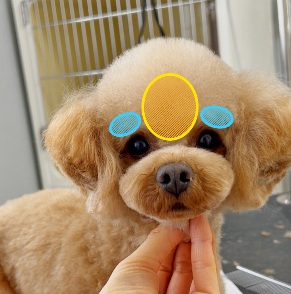 ふんわり眉間