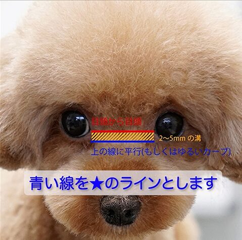 目の上のカット（ストップ）