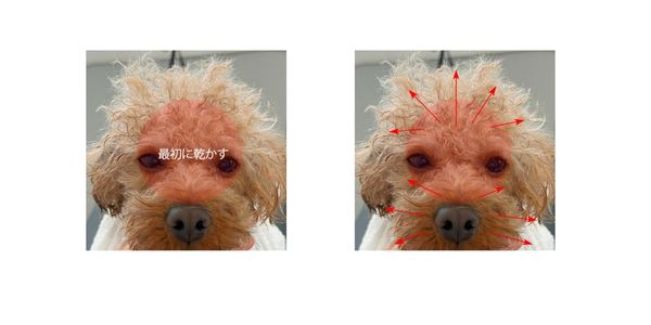 ブロー乾かす順番