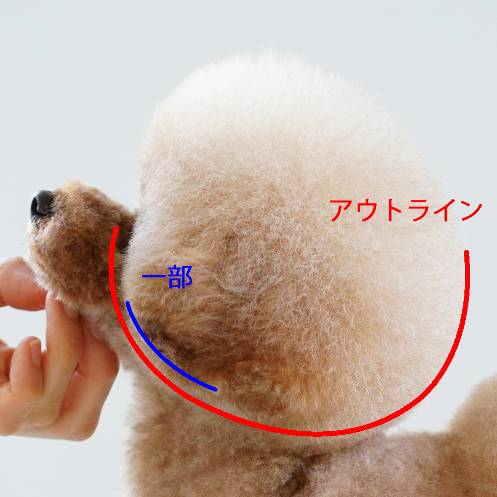 マッシュのアウトライン側面