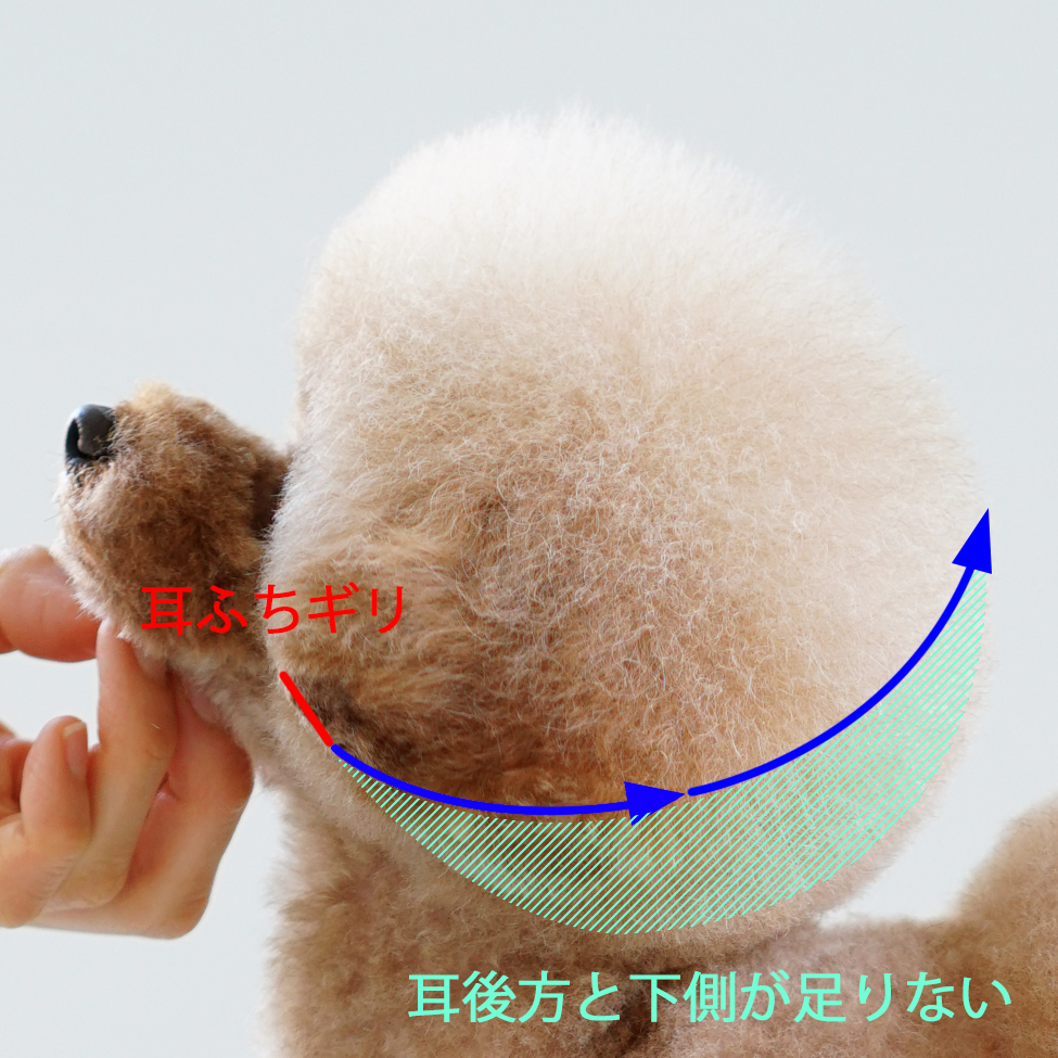 耳後方の毛を取り過ぎ