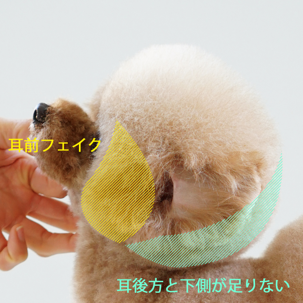 耳前フェイク