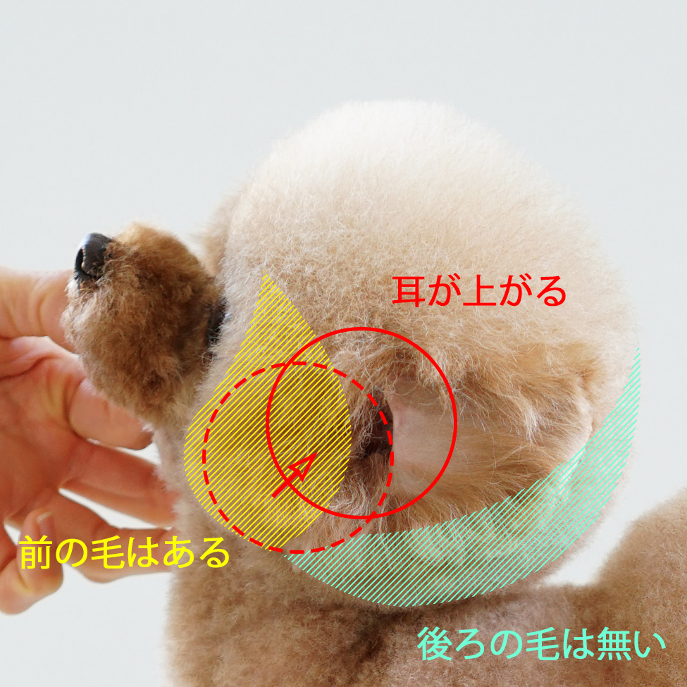 段が出来る