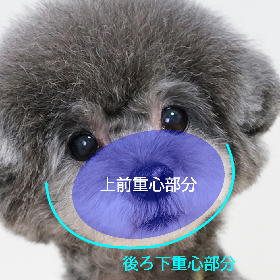 マズルと耳のつなぎ方