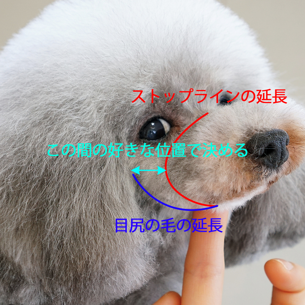 どこまでマズルにするか