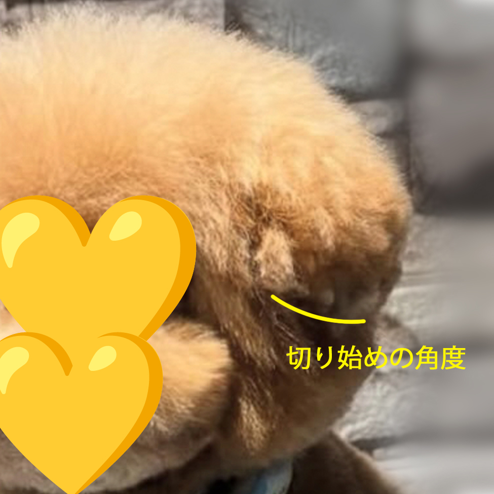 切はじめの角度