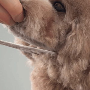 横から見て、①と③が合流する場所で繋げる