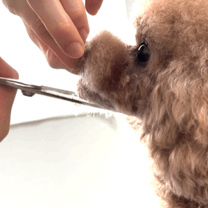 「後ろ下重心」の作り方