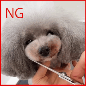 いつもの癖で、顎下を取り過ぎないように注意