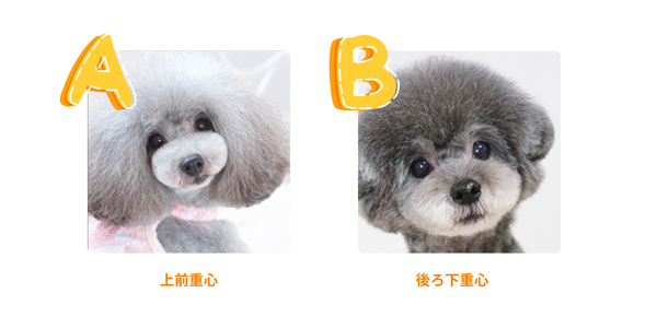 どちらがAでどちらがB‐3答え