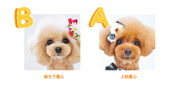 どちらがAでどちらがB‐2答え