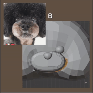 Ｂは頬の毛がアウトライン