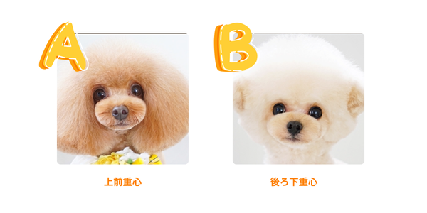 どちらがAでどちらがB‐1答え