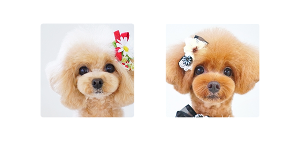 どちらがAでどちらがB‐2