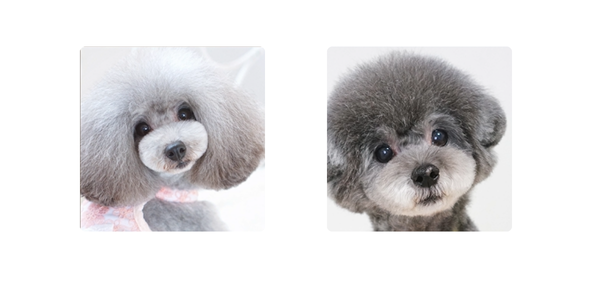 どちらがAでどちらがB‐3