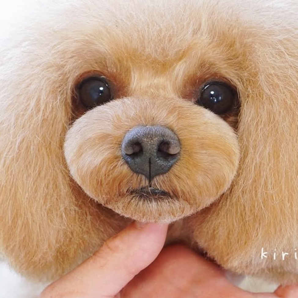 何が違う?【上顎と下顎の繋げ方】