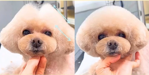 お助け！【左右対象の裏技】頭は屋根から作る！