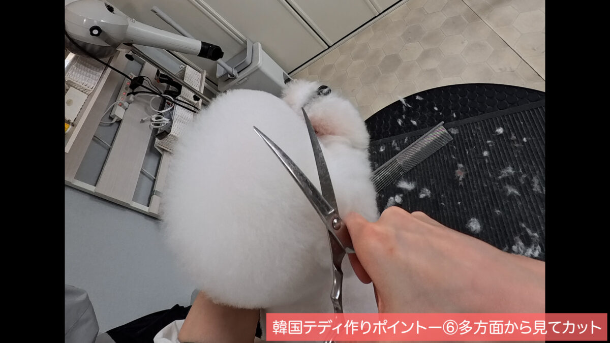 シーケンス 02.00_11_29_22.静止画003