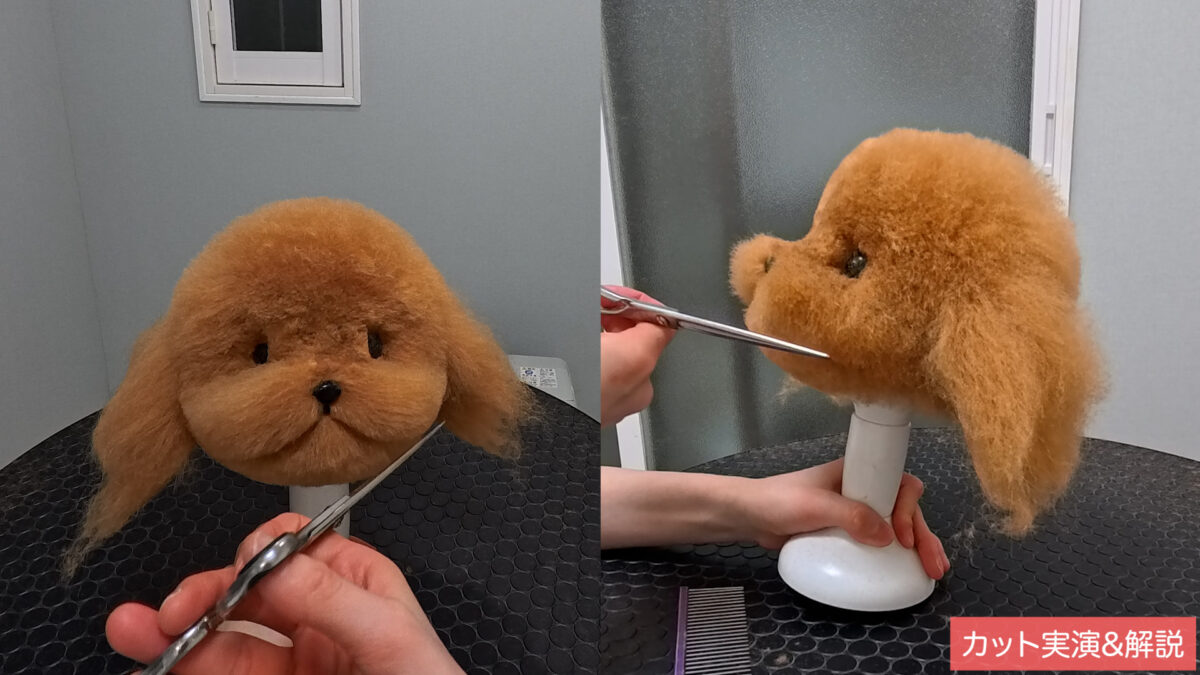 シーケンス 02.00_47_00_20.静止画005