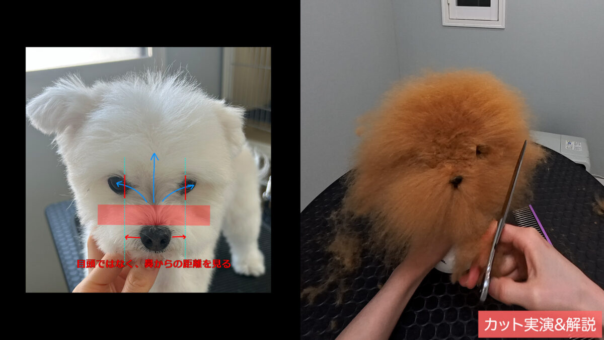 シーケンス 02.00_14_10_23.静止画004