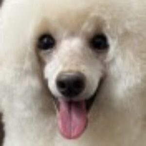 沖田 のプロフィール写真