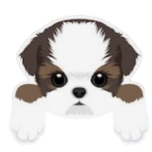 すず のプロフィール写真