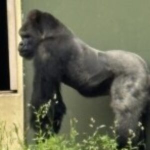 美都 のプロフィール写真