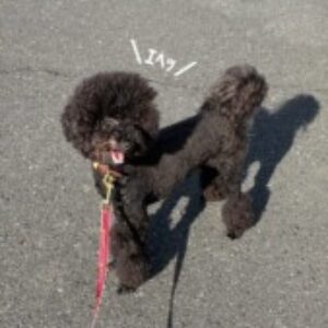 和田 のプロフィール写真