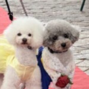 絵美 のプロフィール写真